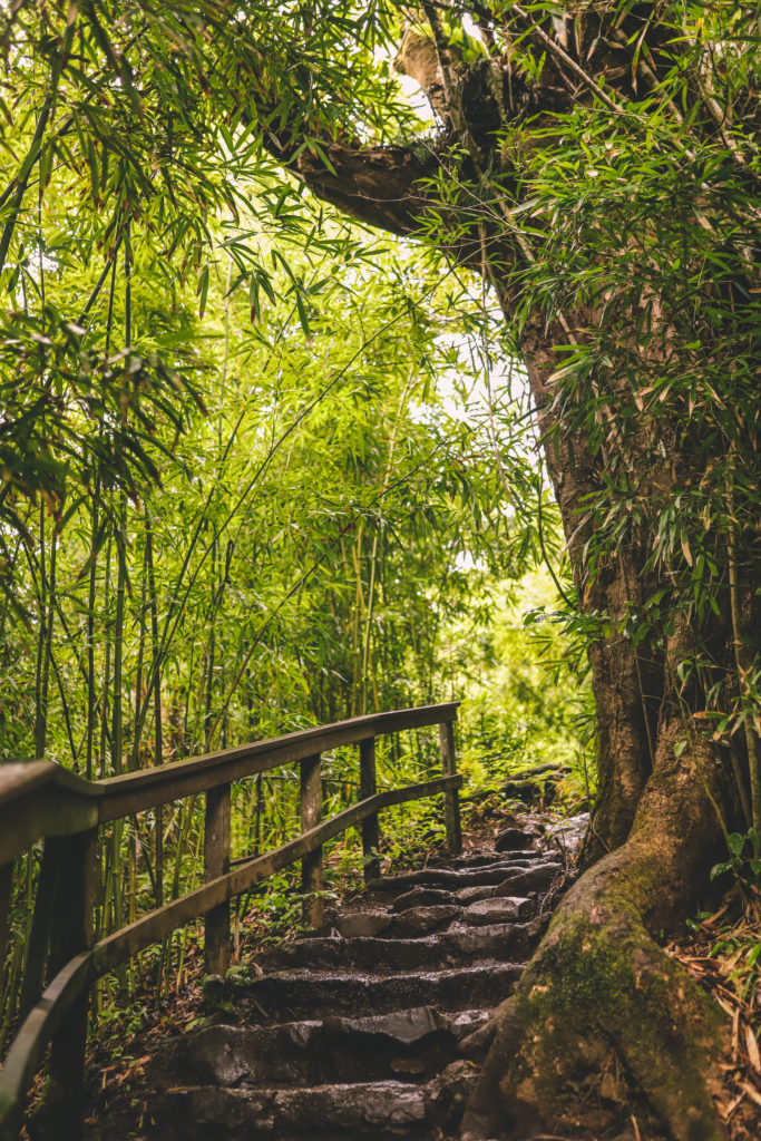 Pipiwai Trail: The best waterfall hike in Maui Hawaii | Simply Wander #simplywander #pipiwaitrail