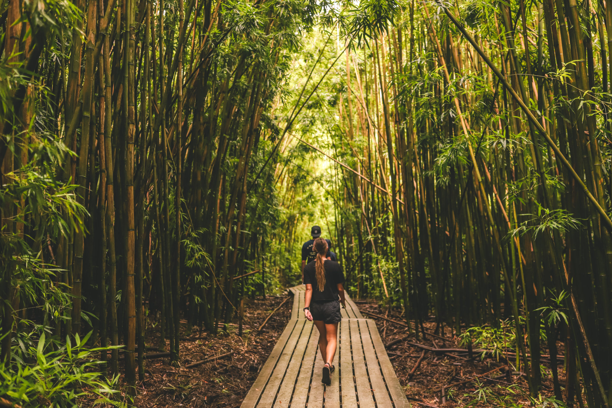 Pipiwai Trail: The Best Waterfall Hike in Maui Hawaii | Simply Wander