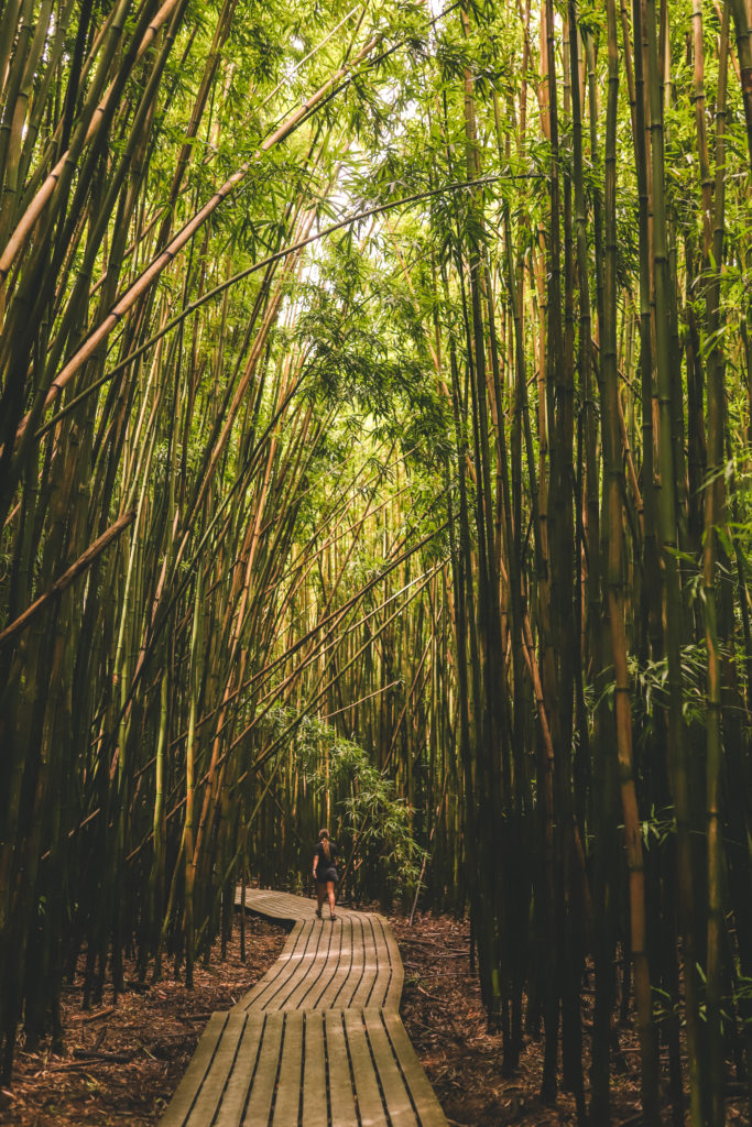Pipiwai Trail: The best waterfall hike in Maui Hawaii | Bamboo Forest #simplywander #pipiwaitrail #bambooforest
