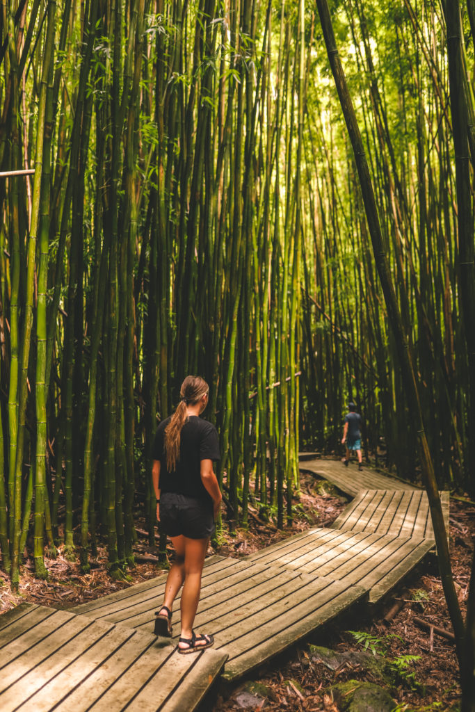 Pipiwai Trail: The best waterfall hike in Maui Hawaii | Bamboo Forest #simplywander #pipiwaitrail #bambooforest