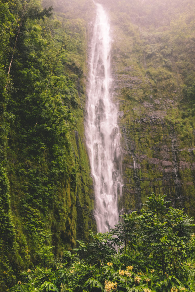 9 of the Best Waterfalls in Maui | Waimoku Falls #simplywander #maui #hawaii #waimokufalls