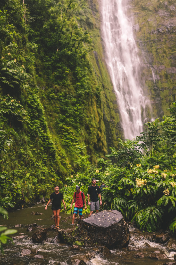 9 of the Best Waterfalls in Maui | Waimoku Falls #simplywander #maui #hawaii #waimokufalls