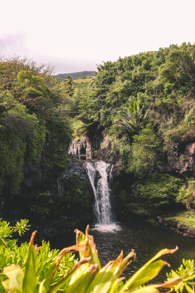 15 Best Road to Hana Stops | Seven Sacred Pools #simplywander #roadtohana #maui #hawaii #sevensacredpools