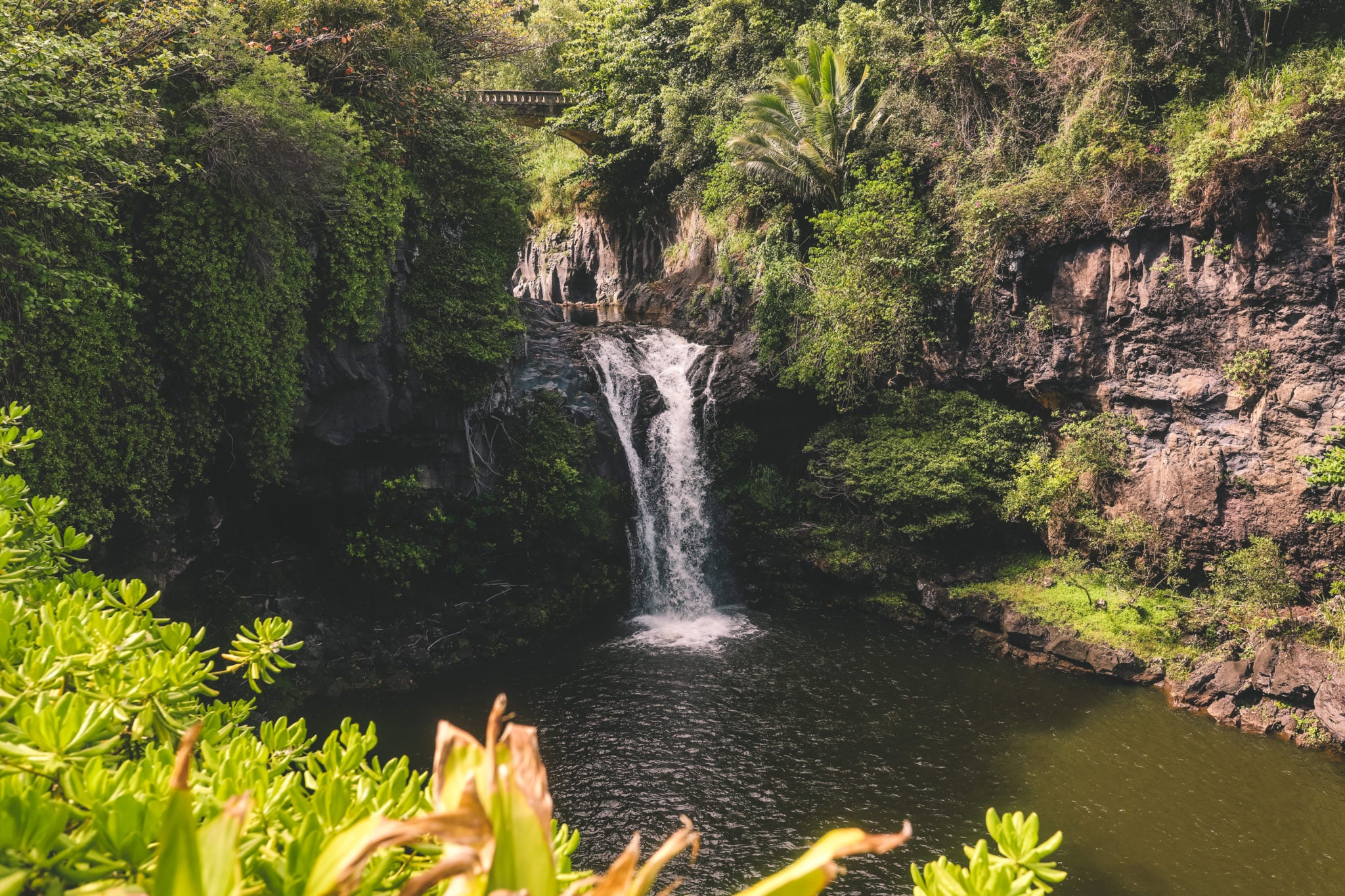 Pipiwai Trail: The Best Waterfall Hike in Maui Hawaii | Simply Wander