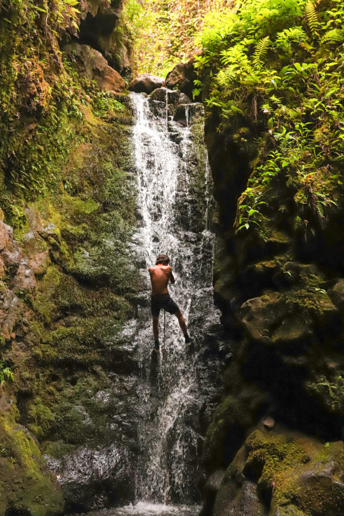 9 of the Best Waterfalls in Maui | Makamakaole Stream Falls #simplywander #maui #hawaii #makamakamolestreamfalls