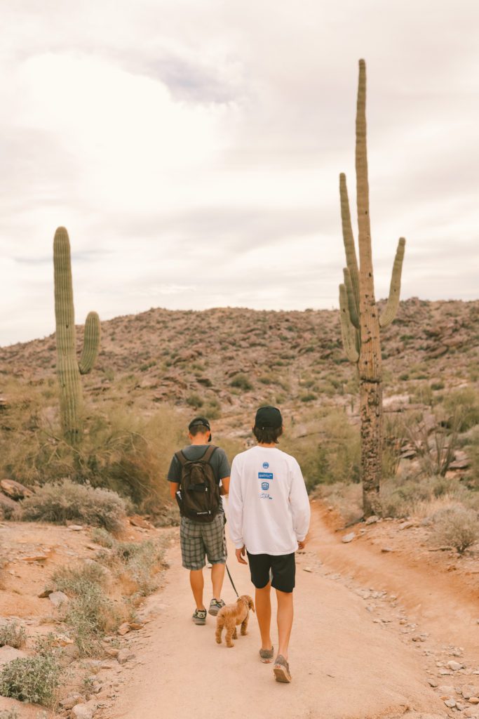Hidden Valley via Mormon Trail: One of the best hikes in Phoenix Arizona | South Mountain hiking #simplywander #southmountain #phoenix #arizona