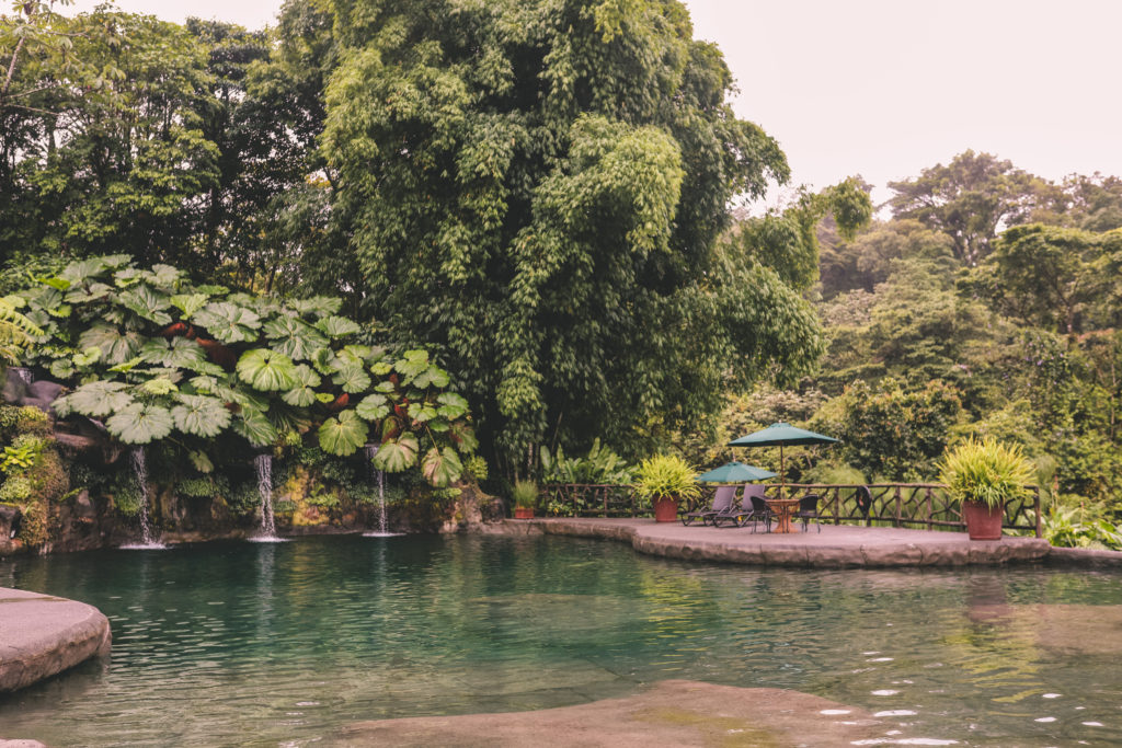 La Paz Waterfall Gardens: The Best Place to see Waterfalls in Costa Rica | Big Trout Bar #costarica #lapaz #waterfalls #simplywander #bigtroutbar