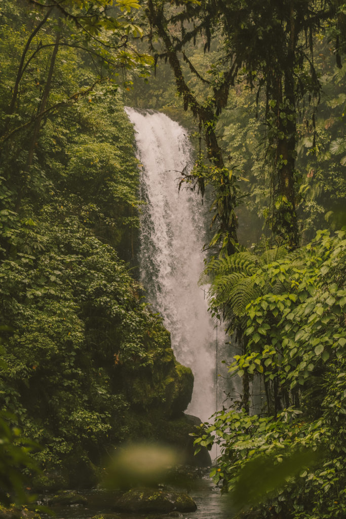 La Paz Waterfall Gardens: The Best Place to see Waterfalls in Costa Rica | Templo Waterfall #costarica #lapaz #templowaterfall #simplywander