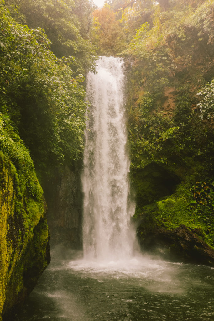 The Perfect 5 Day Costa Rica Itinerary | La Paz Waterfall Gardens #simplywander #lapaz #costarica