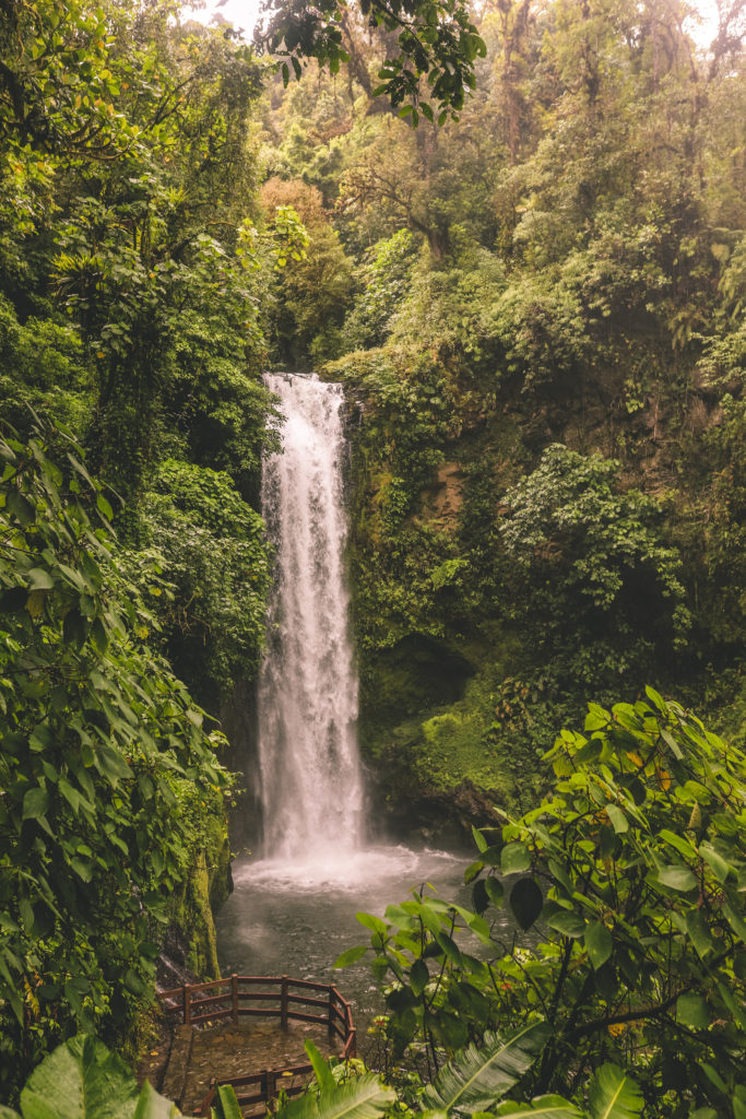 La Paz Waterfall Gardens: The Best Place to see Waterfalls in Costa Rica | Magia Blanca Waterfall #costarica #lapaz #magiablancaowaterfall #simplywander