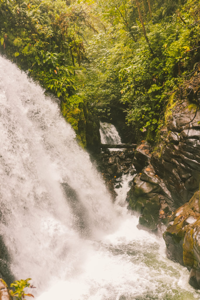 La Paz Waterfall Gardens: The Best Place to see Waterfalls in Costa Rica | Encantada and Escondida Falls#lapaz #magiablancaowaterfall #simplywander