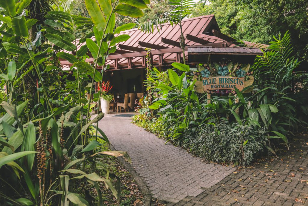 6 Fun Things to do in La Fortuna Costa Rica | Stay in a treehouse at Sangregado Lodge #simplywander #costarica #lafortuna #sangregadolodge