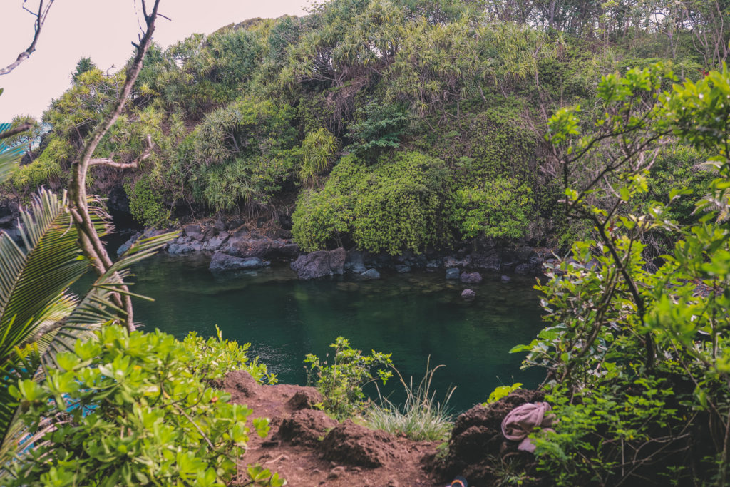 15 Best Road to Hana Stops | Venus Pools #simplywander #roadtohana #maui #hawaii #venuspools