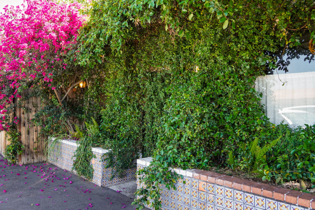 Glai Baan, Phoenix, Arizona