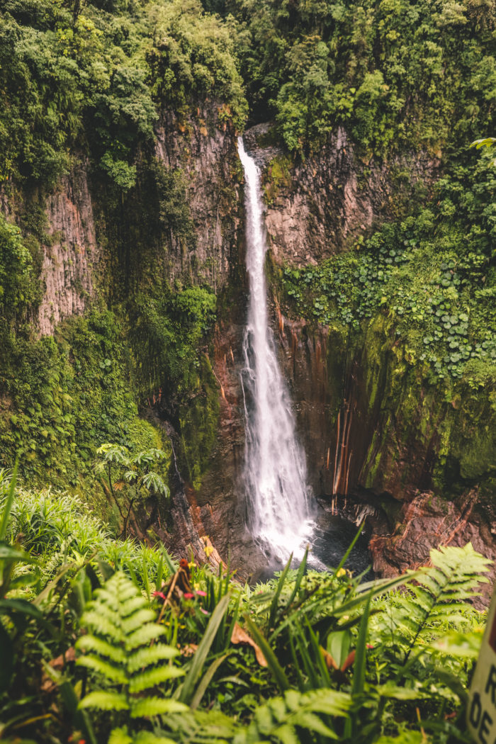 Hidden Gems of Costa Rica: Catarata del Toro and Blue Falls