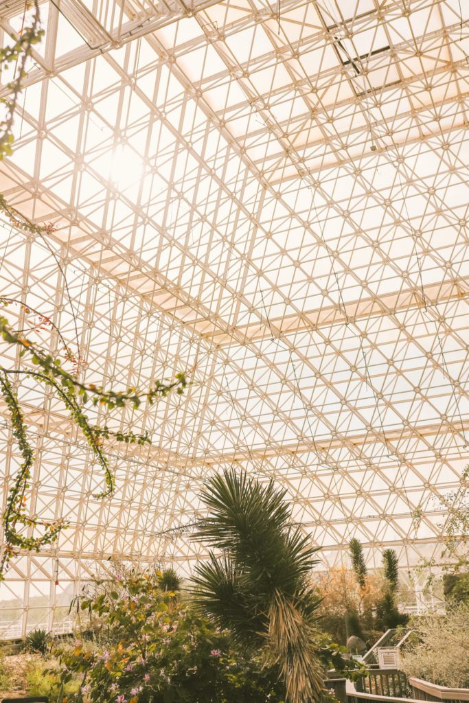 Biosphere 2: One of the Most Unique Places to Visit in Arizona | The Fog Desert #biosphere2 #arizona #simplywander