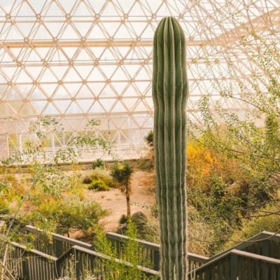 Best things to do in Tucson with kids | Biosphere 2 #tucson #arizona #biosphere2 #simplywander