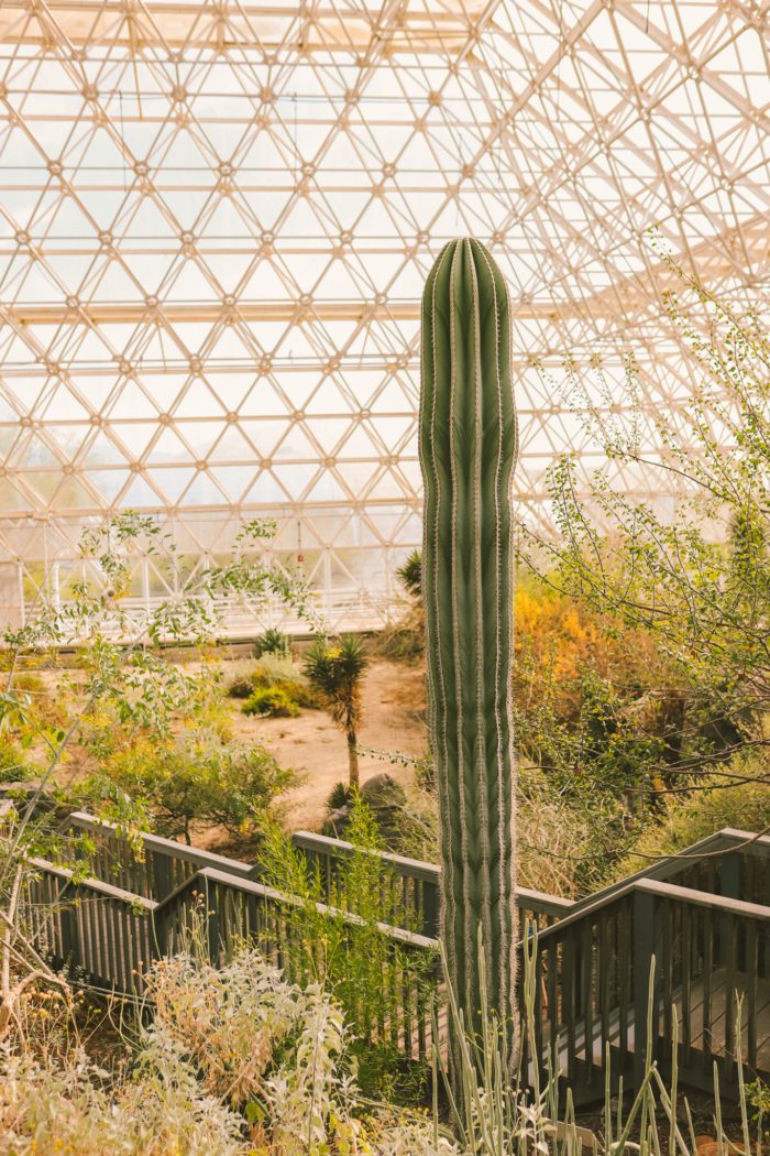 Biosphere 2: Tour a Mini Earth in the Arizona Desert