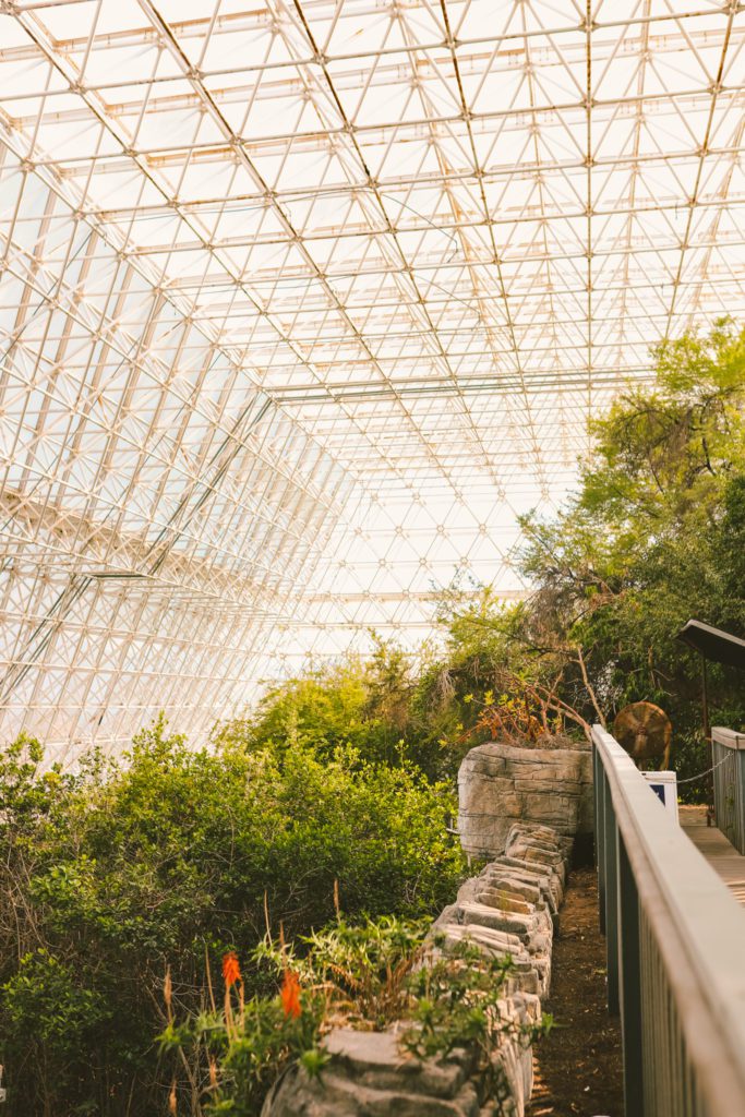 Biosphere 2: One of the Most Unique Places to Visit in Arizona | The Mangrove Forest #biosphere2 #arizona #simplywander