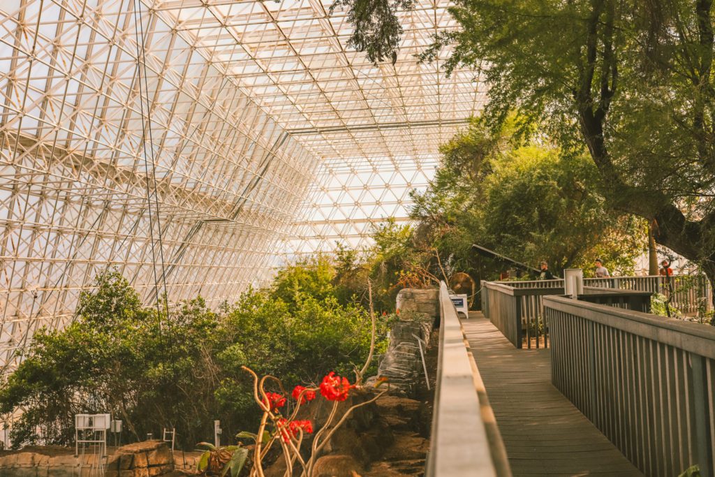 Biosphere 2: One of the Most Unique Places to Visit in Arizona | The Mangrove Forest #biosphere2 #arizona #simplywander