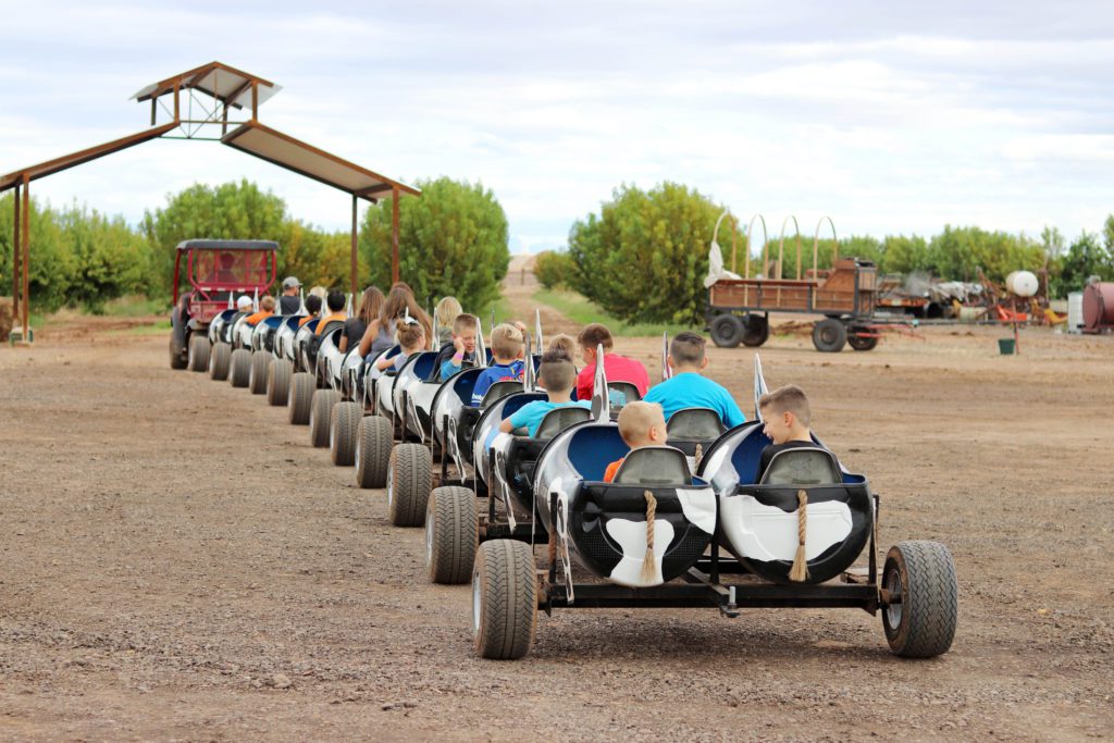 15 Fun Things to do with Kids in Mesa Arizona | Vertuccio Farms #simplywander #mesa #arizona #vertucciofarms