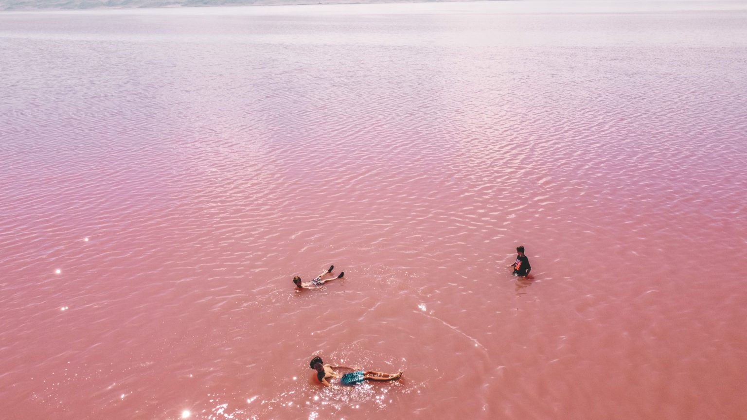 A Guide to Utah's Pink Lake at Stansbury Island Simply Wander