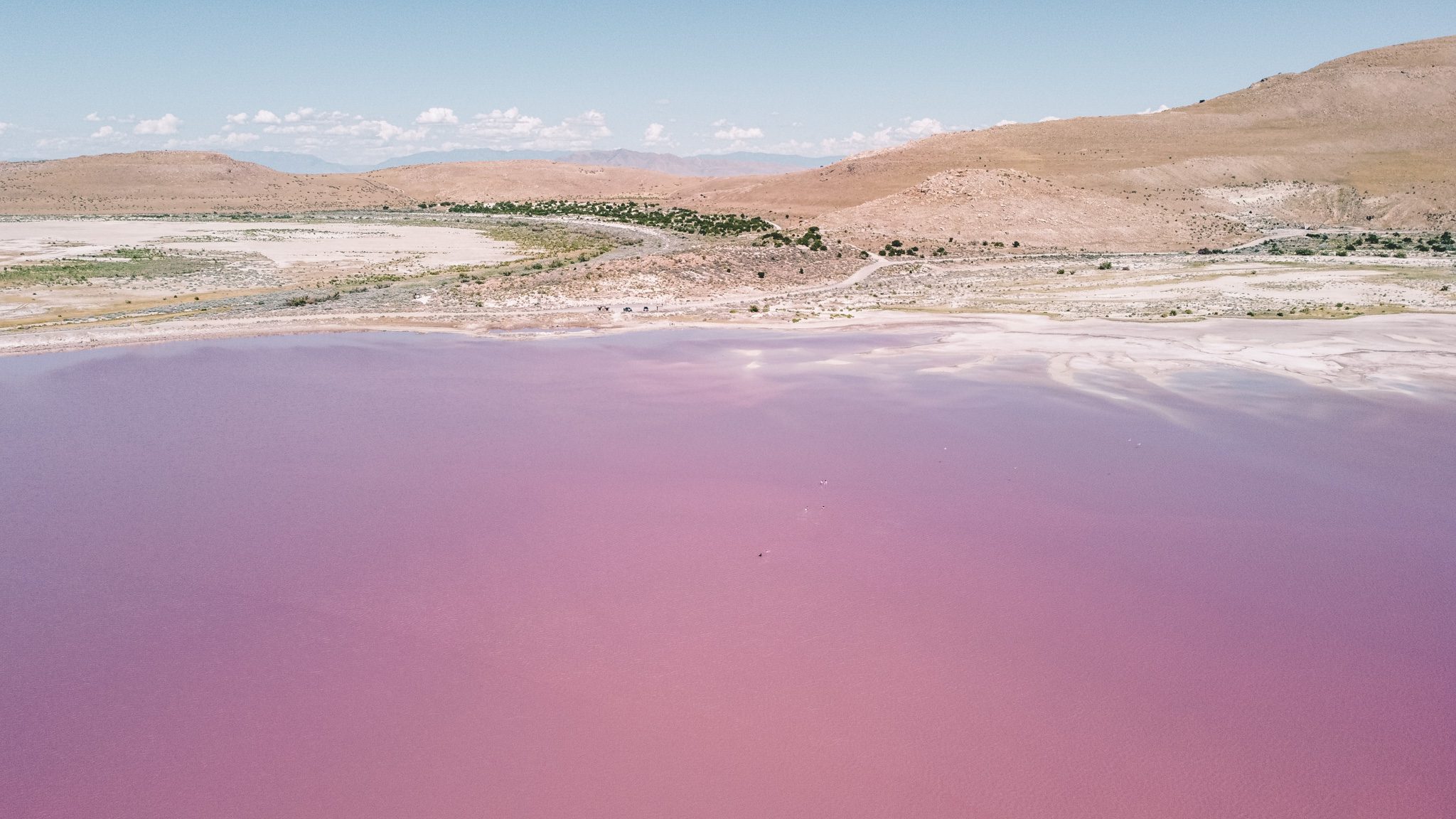 A Guide to Utah's Pink Lake at Stansbury Island Simply Wander