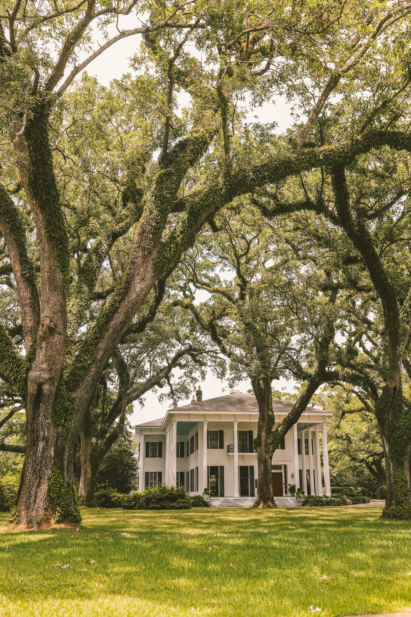 11 Things to do in Mobile, Alabama | Simply Wander