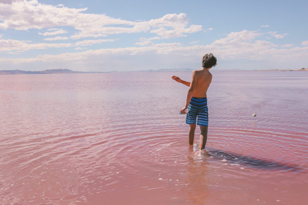 How to Find the Pink Lake in Utah | Stansbury Island #simplywander #utah #pinklake #stansburyisland