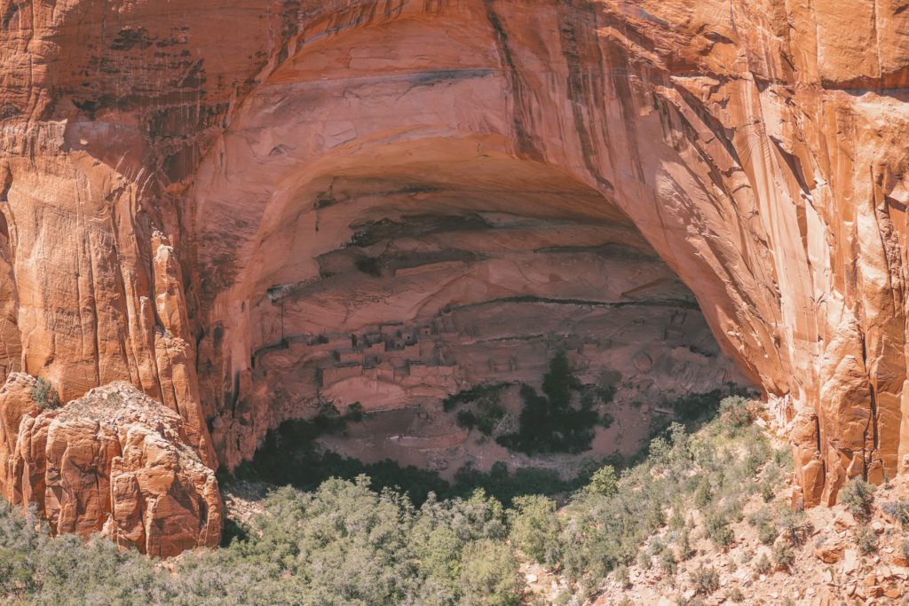 6 of the Most Accessible Indian Ruins in Arizona | Betatakin Cliff Dwellings Navajo National Monument