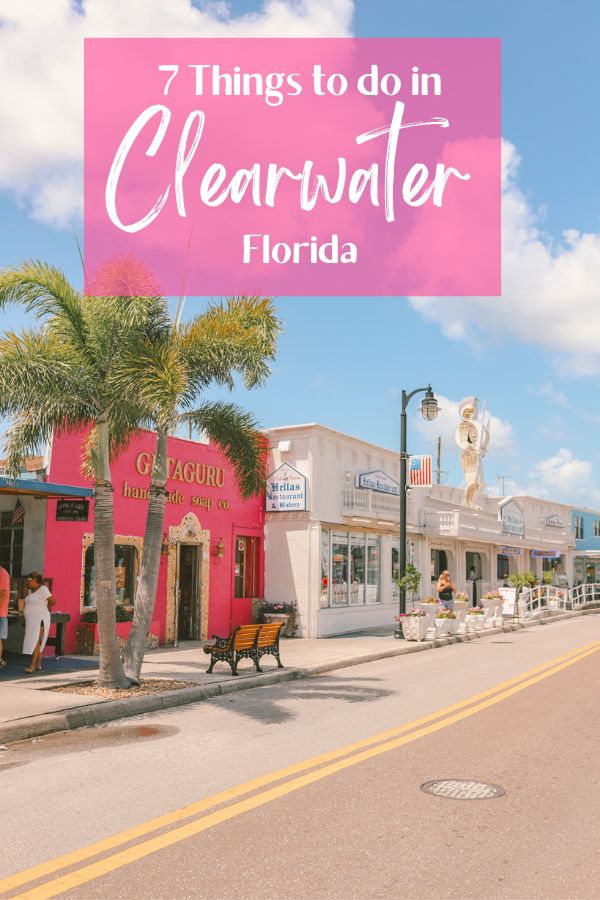 7 Things to do in Clearwater Florida and Beyond | Clearwater Beach #simplywander #clearwater #florida