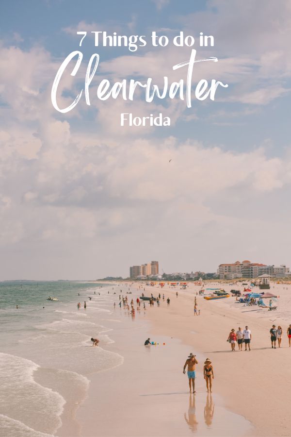 7 Things to do in Clearwater Florida and Beyond | Clearwater Beach #simplywander #clearwater #florida