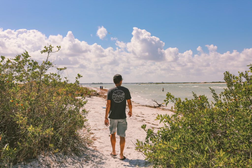 7 Things to do in Clearwater Florida and Beyond | Honeymoon Island #simplywander #clearwater #florida