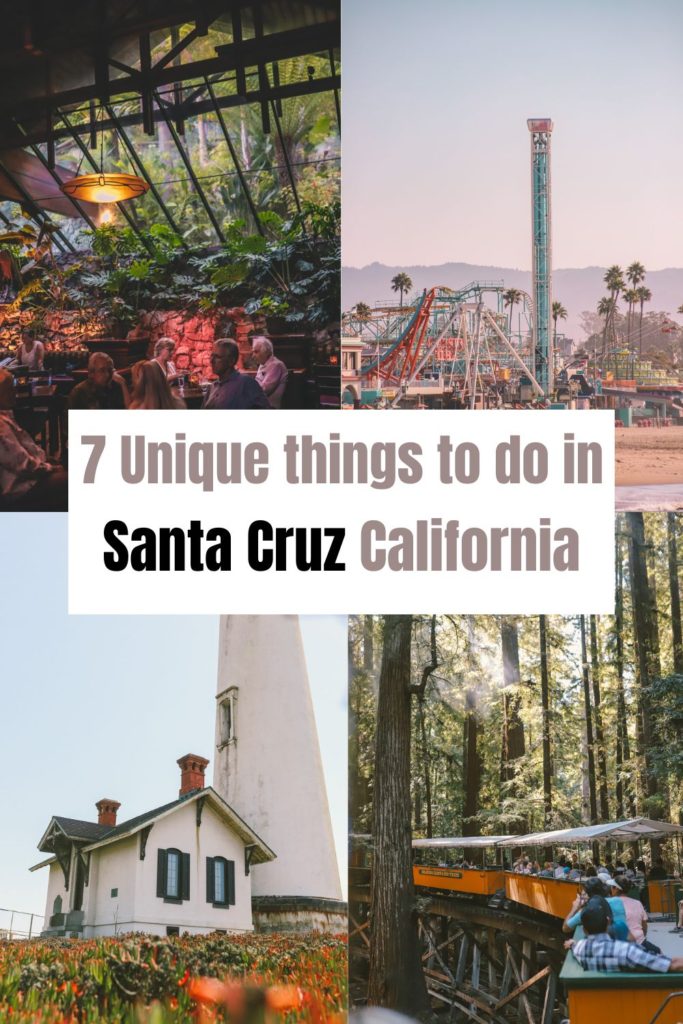 7 Unique Things to do in Santa Cruz California | Simply Wander 