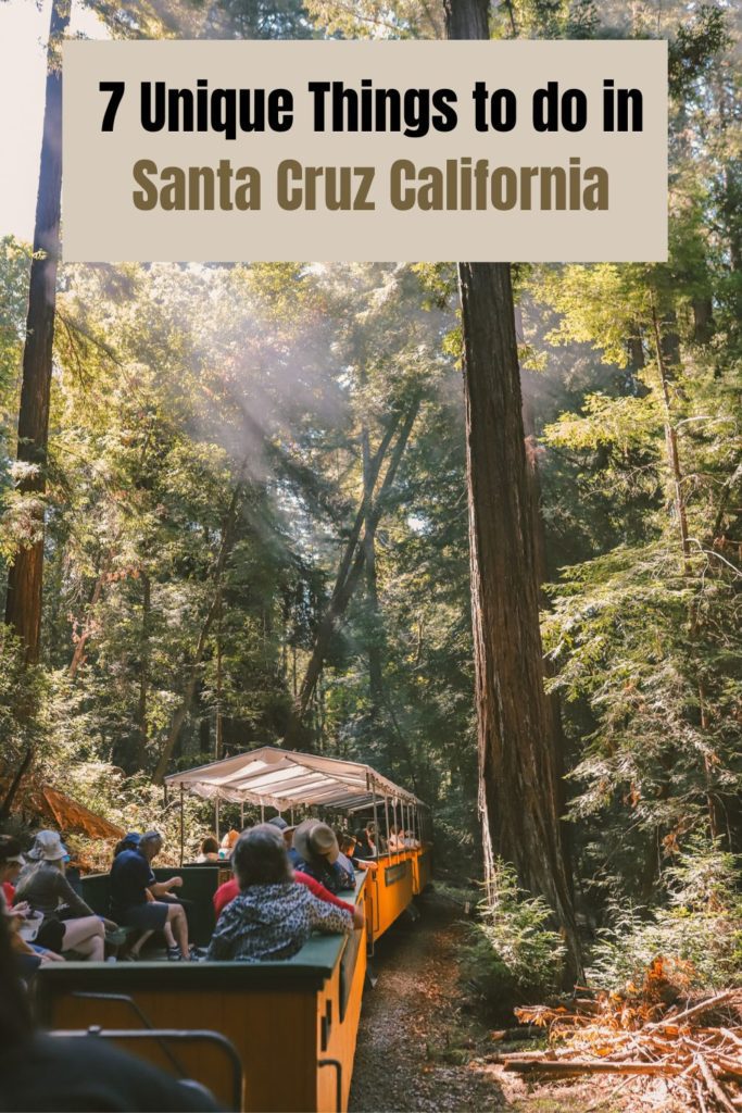 7 Unique Things to do in Santa Cruz California | Simply Wander 