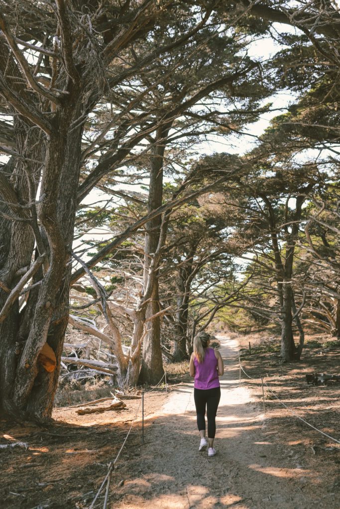Prettiest Stops on a Big Sur Road Trip | Point Lobos State Natural Reserve | Simply Wander