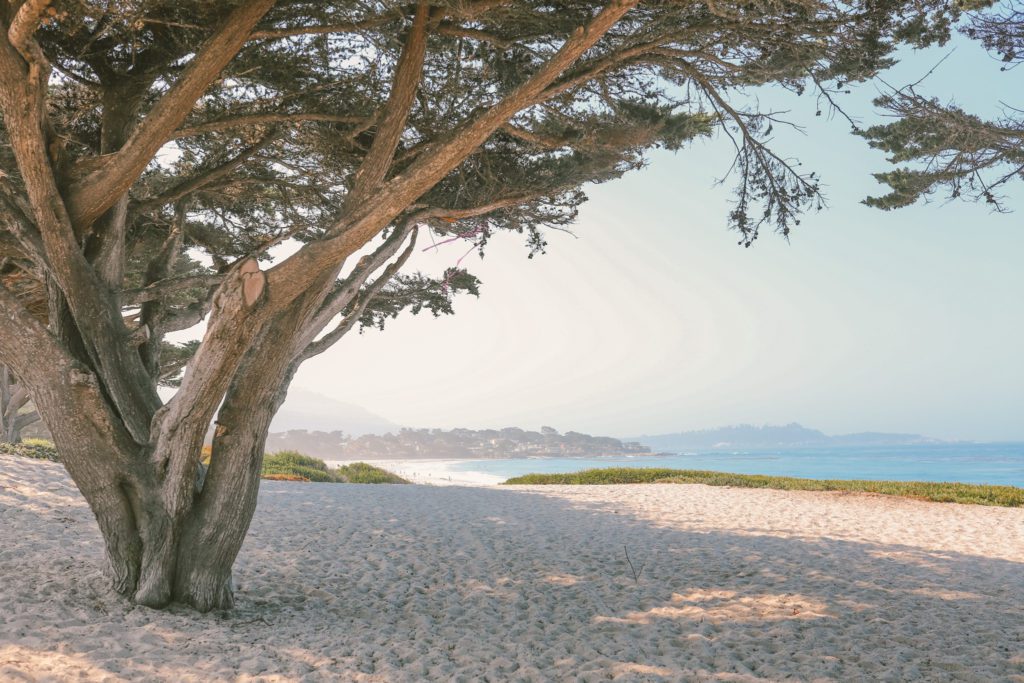 The Best Things to do in Carmel-by-the-Sea on a Girl's Weekend | Relax at Carmel Beach #simplywander