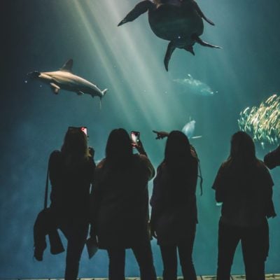 11 Best Girls' Trip Destinations in the U.S. | Monterey