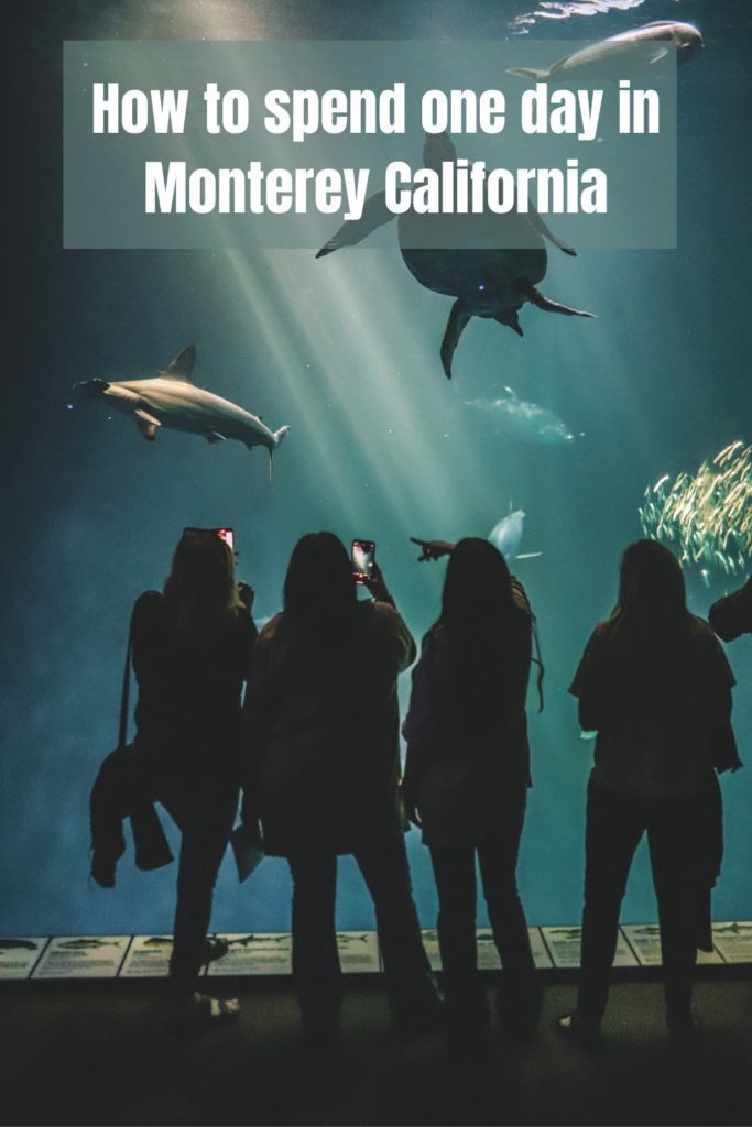The best things to do in Monterey California if you only have one day | Simply Wander