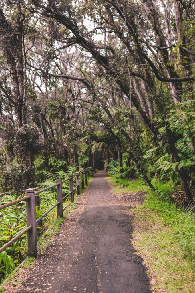 Best Things to do at Hawaii Volcanoes National Park | Sulfur Banks Trail #simplywander #kilaueaiki #volcanoesnationalpark #hawaii