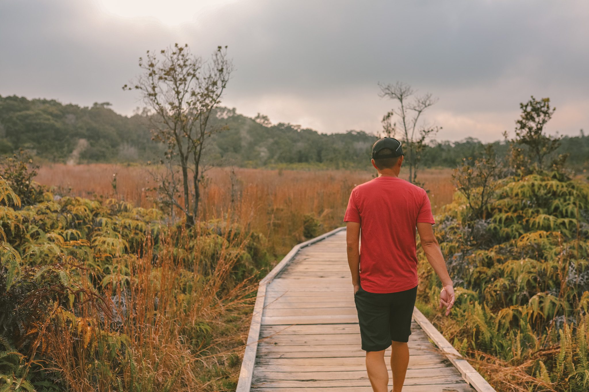 9 Things to do at Hawaii Volcanoes National Park | Simply Wander