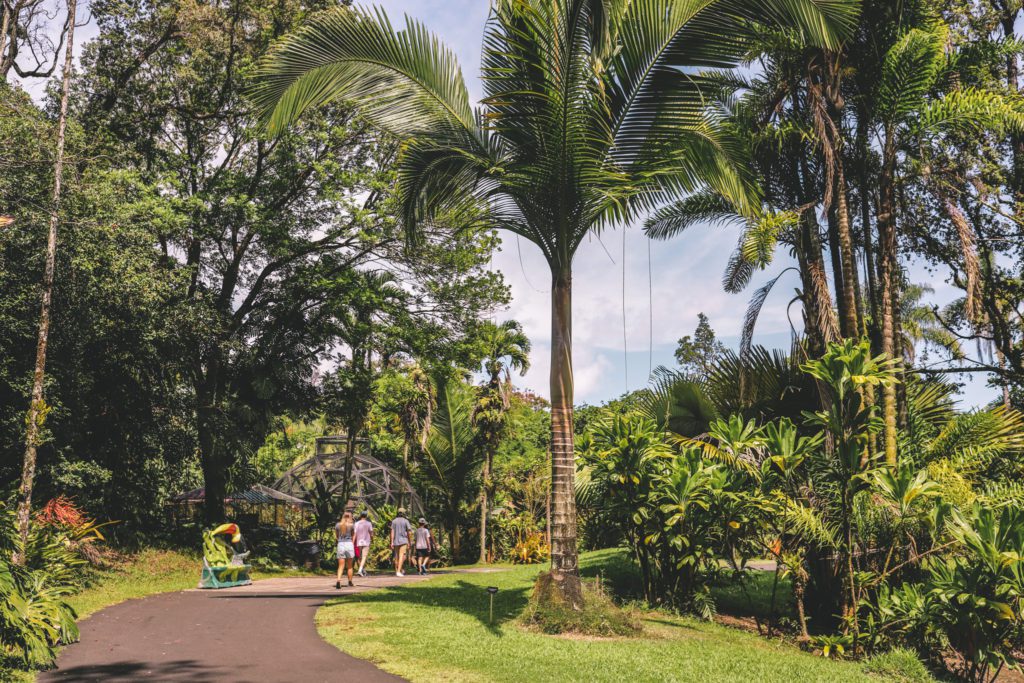 8 of the Best Things to do in Hilo, Hawaii | Visit Pana'ewa Rainforest Zoo and Gardens #simplywander