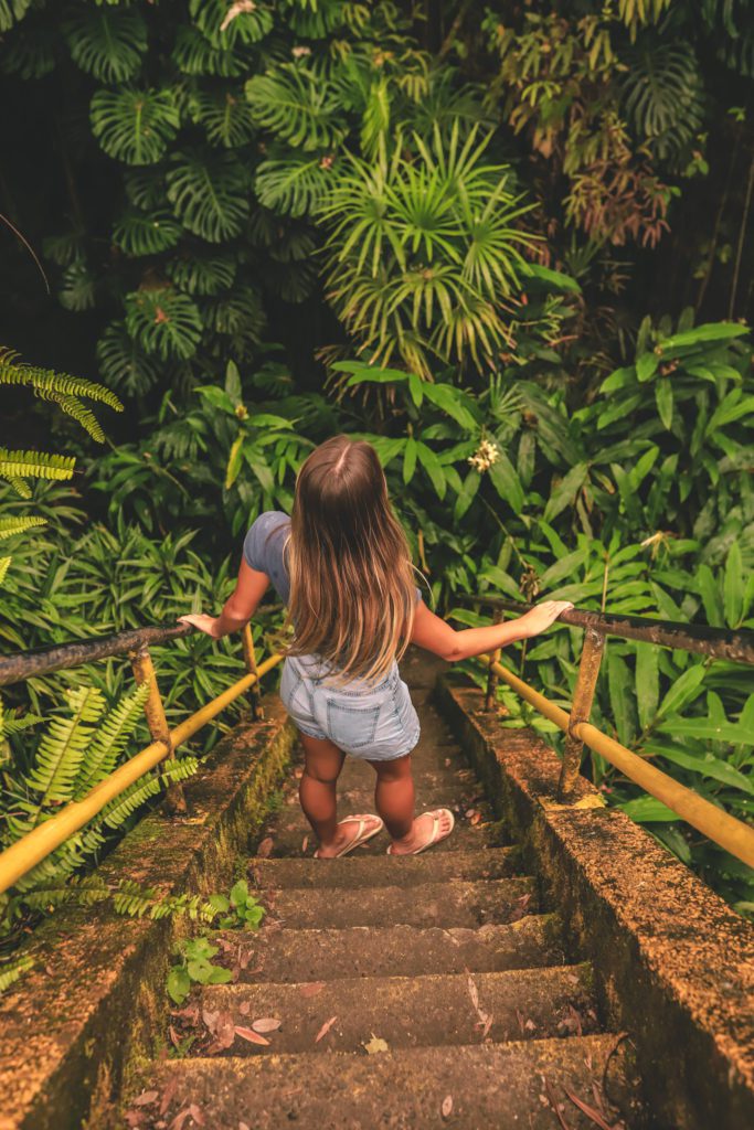 8 of the Best Things to do in Hilo, Hawaii | Explore Hilo Bayfront | Kaumana Caves State Park #simplywander