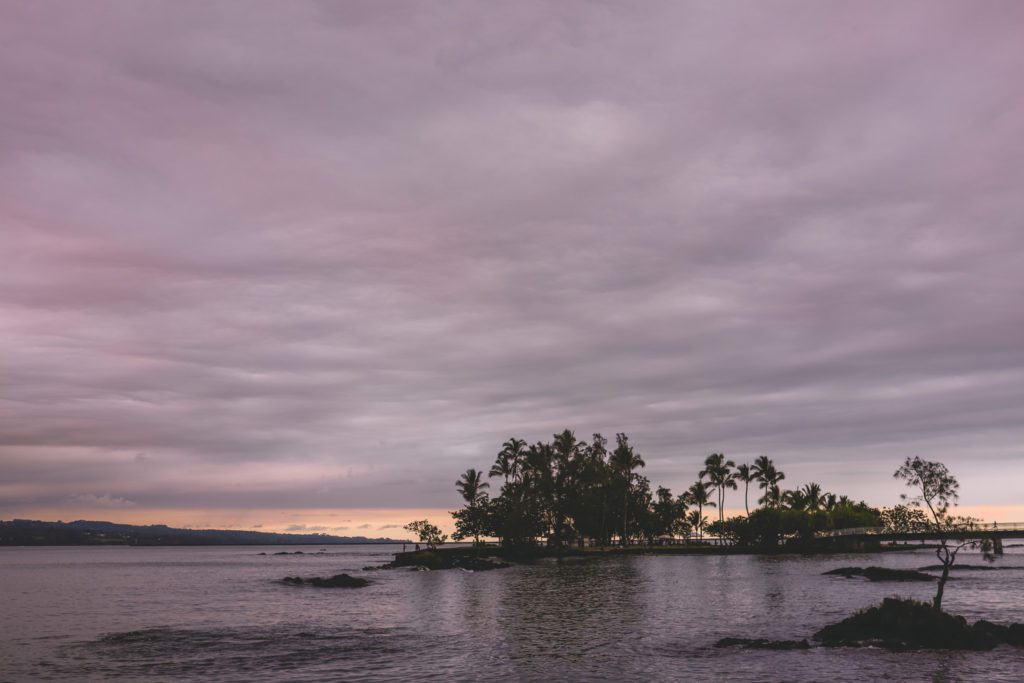 8 of the Best Things to do in Hilo, Hawaii | Explore Hilo Bayfront | Coconut Island #simplywander