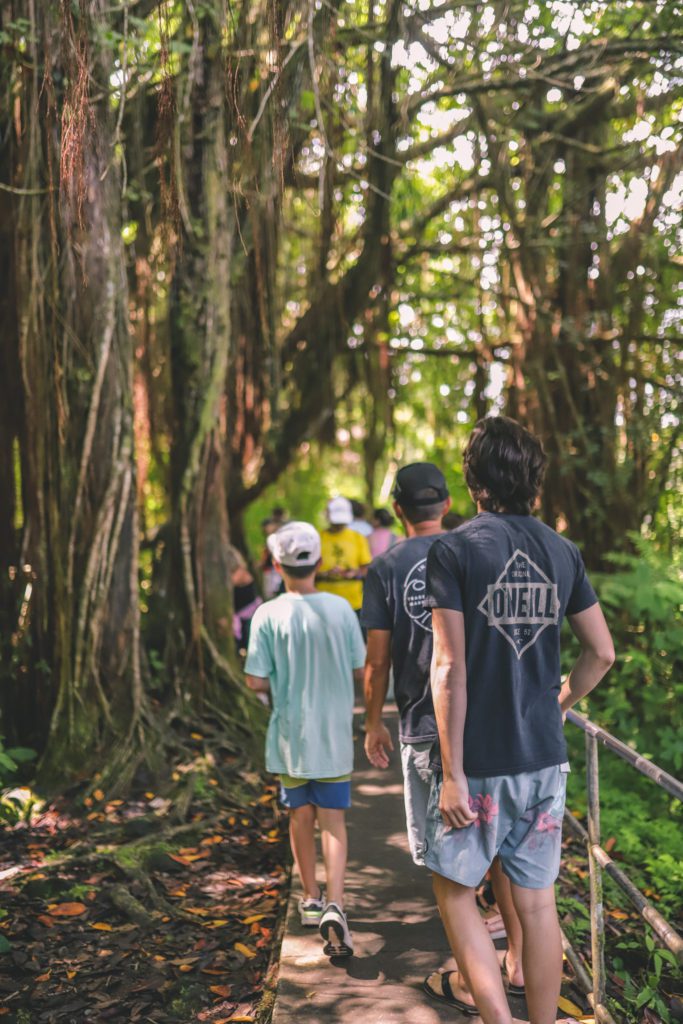 8 of the Best Things to do in Hilo, Hawaii | 'Akaka Falls #simplywander