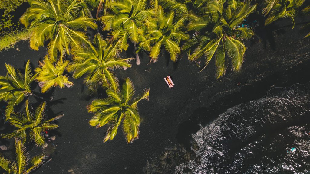 Best Things to do on the Big Island in One Week | Punalu'u Black Sand Beach #simpywander