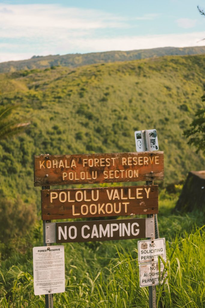 What to Expect When Hiking the Pololū Valley Lookout Trail | Big Island Hawaii #simplywander
