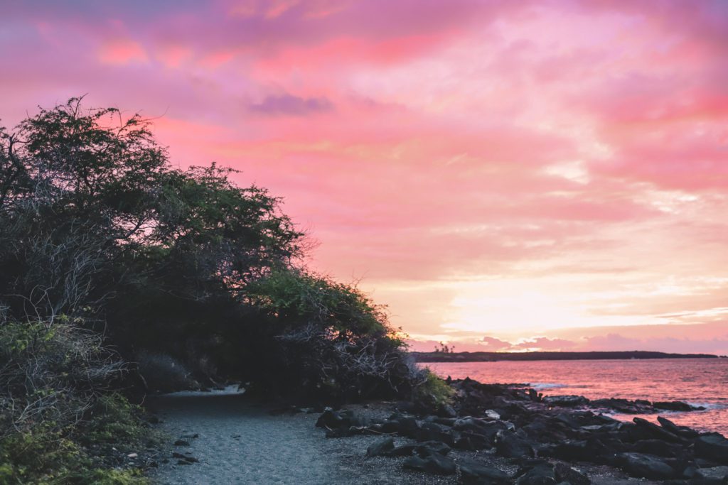 Best Things to do on the Big Island in One Week | 
Kiholo Bay #simplywander