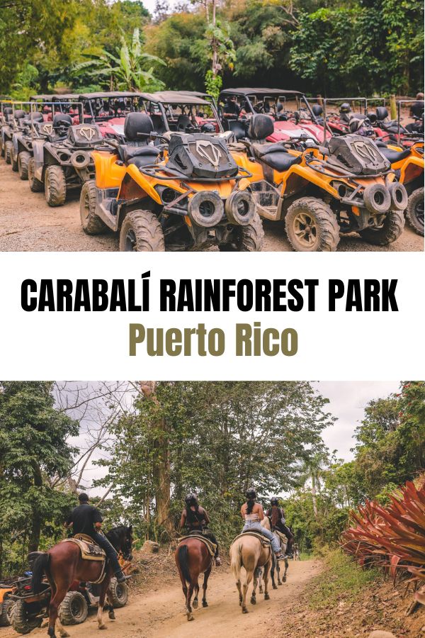 What to expect when visiting Carabalí Rainforest Park in Puerto Rico | Simply Wander