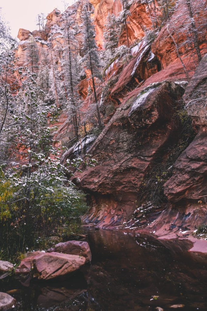 5 of the Best Hikes in Sedona, Arizona | West Fork Trail #simplywander